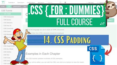 css w3schools|Tutorial: Learn W3.CSS .